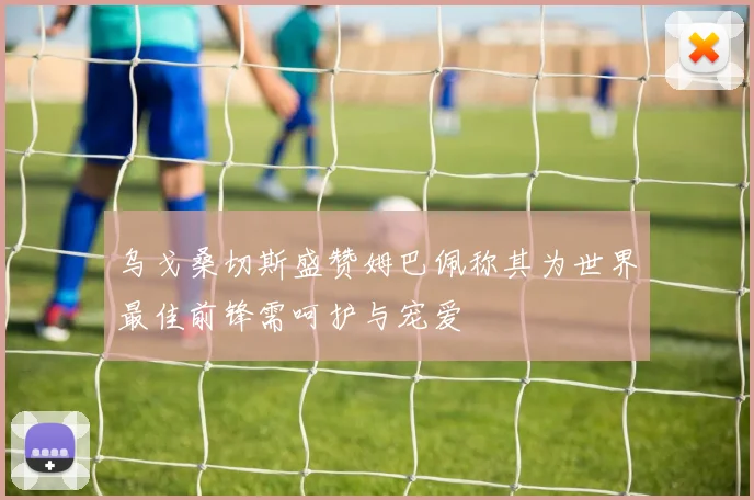 乌戈桑切斯盛赞姆巴佩称其为世界最佳前锋需呵护与宠爱