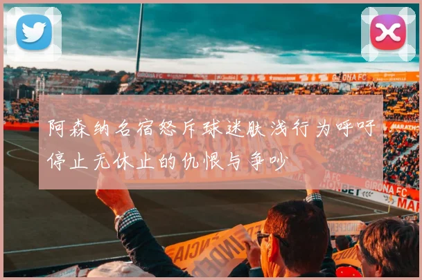 阿森纳名宿怒斥球迷肤浅行为呼吁停止无休止的仇恨与争吵